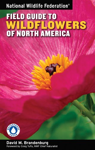 Book Cover National Wildlife Federation Field Guide to Wildflowers of North America