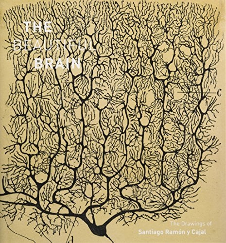 Book Cover Beautiful Brain: The Drawings of Santiago Ramon y Cajal