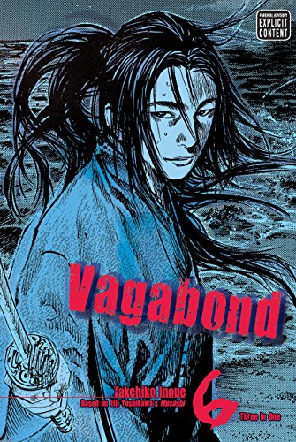 Book Cover Vagabond, Vol. 6 (VIZBIG Edition)
