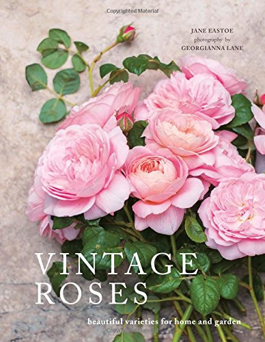 Book Cover Vintage Roses: Beautiful Varieties for Home and Garden