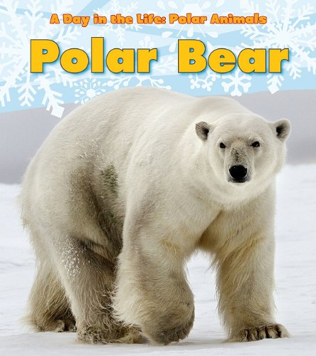 Book Cover Polar Bear (A Day in the Life: Polar Animals)