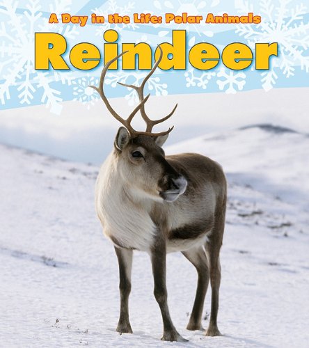 Book Cover Reindeer (A Day in the Life: Polar Animals)