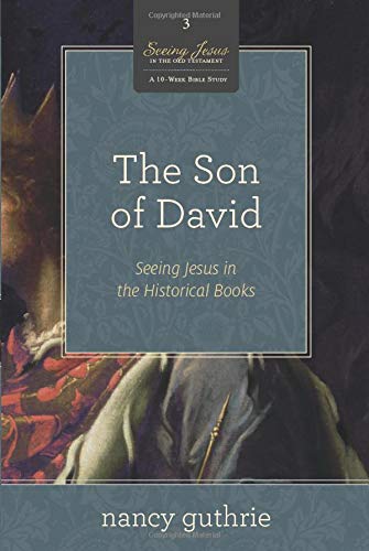 Book Cover The Son of David (A 10-week Bible Study): Seeing Jesus in the Historical Books (Volume 3)