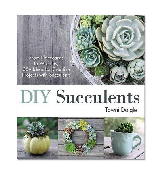 Book Cover DIY Succulents: From Placecards to Wreaths, 35+ Ideas for Creative Projects with Succulents