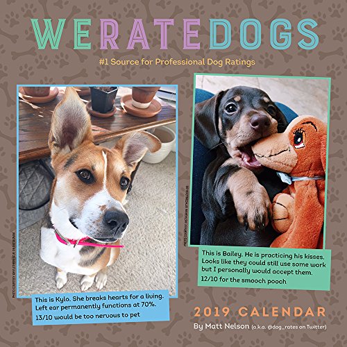 Book Cover WeRateDogs 2019 Wall Calendar