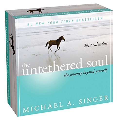 Book Cover The Untethered Soul 2019 Day-to-Day Calendar: The Journey Beyond Yourself