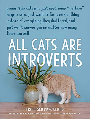 Book Cover All Cats Are Introverts