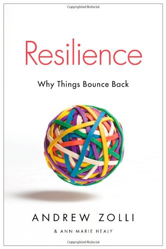 Book Cover Resilience: Why Things Bounce Back