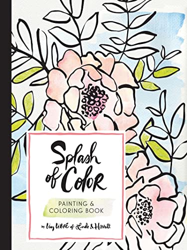 Book Cover Splash of Color Painting & Coloring Book