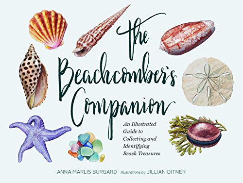 Book Cover The Beachcomber's Companion: An Illustrated Guide to Collecting and Identifying Beach Treasures (Watercolor Seashell and Shell Collecting Book, Beach Lover Gift)
