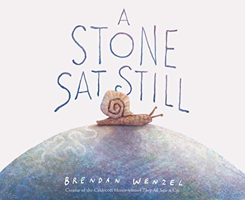 Book Cover A Stone Sat Still: (Environmental and Nature Picture Book for Kids, Perspective Book for Preschool and Kindergarten, Award Winning Illustrator)