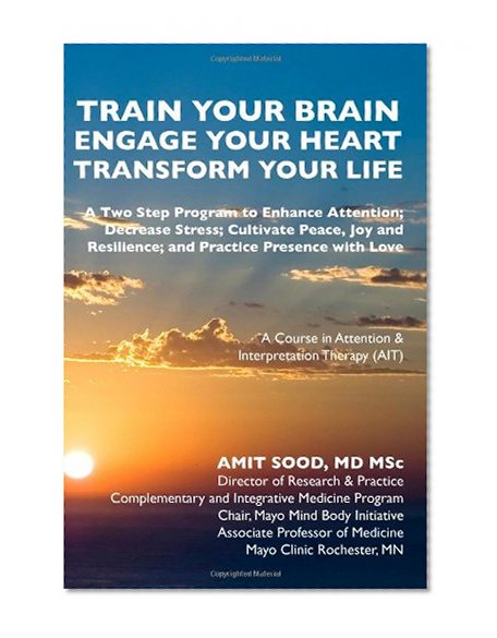 Book Cover Train Your Brain....Engage Your Heart....Transform Your Life: A Course in Attention & Interpretation Therapy (AIT)