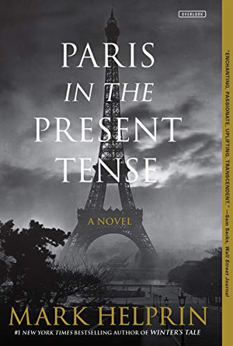 Book Cover Paris in the Present Tense: A Novel