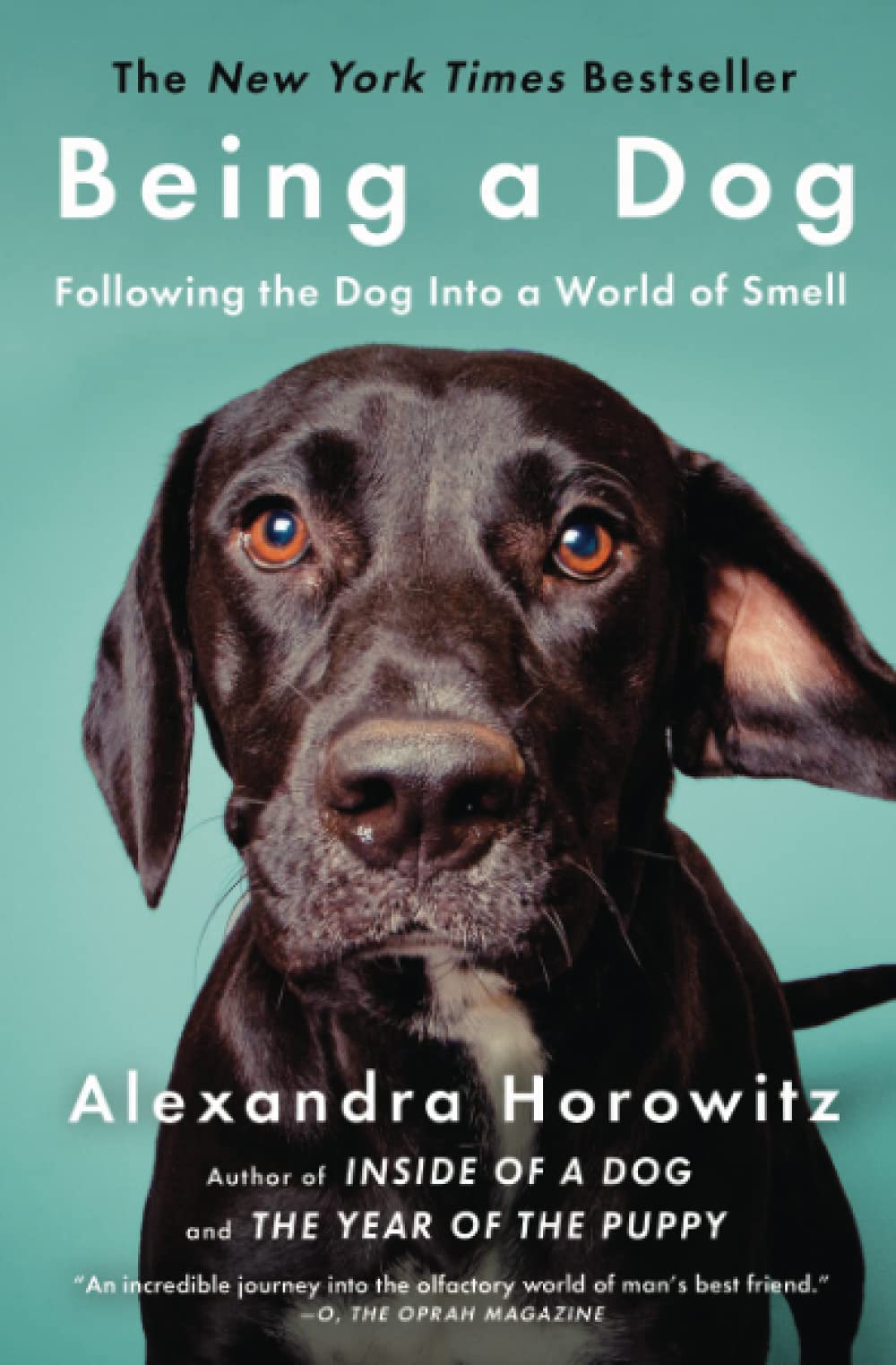 Book Cover Being a Dog: Following the Dog Into a World of Smell