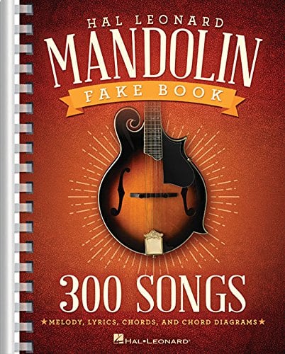 Book Cover The Hal Leonard Mandolin Fake Book: 300 Songs