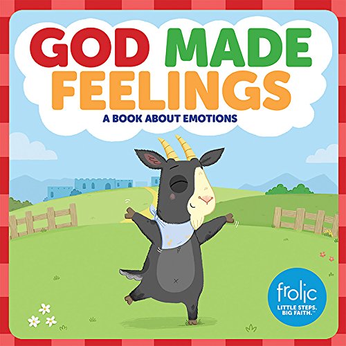 Book Cover God Made Feelings: A Book about Emotions (Frolic First Faith)