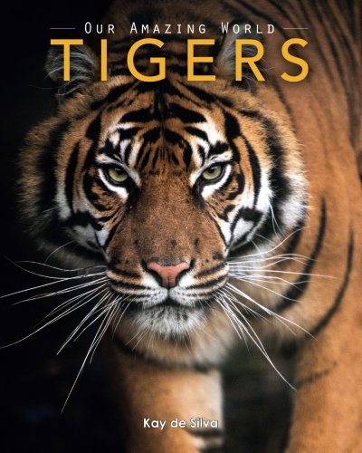 Book Cover Tigers: Amazing Pictures & Fun Facts on Animals in Nature (Our Amazing World Series)