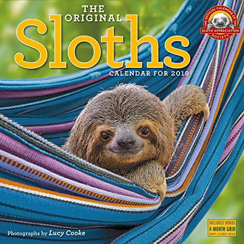 Book Cover The Original Sloths Wall Calendar 2019