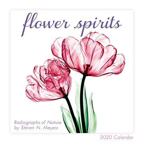 Book Cover Flower Spirits 2020 Calendar: Radiographs of Nature