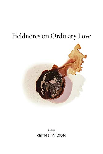 Book Cover Fieldnotes on Ordinary Love