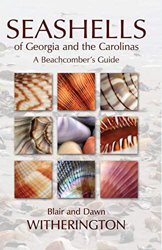 Book Cover Seashells of Georgia and the Carolinas