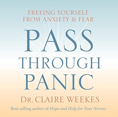 Book Cover Pass Through Panic: Freeing Yourself from Anxiety and Fear
