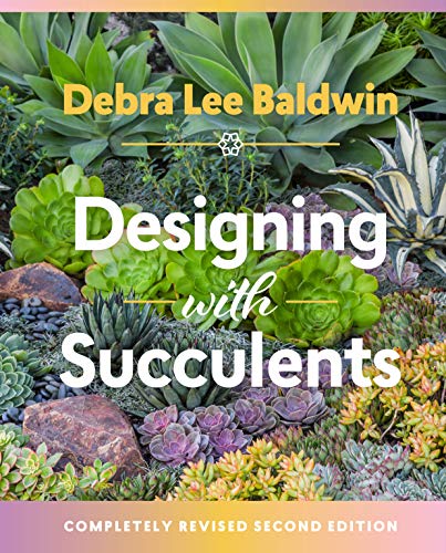Book Cover Designing with Succulents