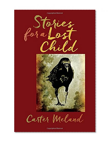 Book Cover Stories for a Lost Child (American Indian Studies)