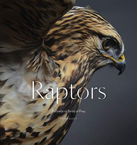 Book Cover Raptors: Portraits of Birds of Prey (Bird Photography Book)