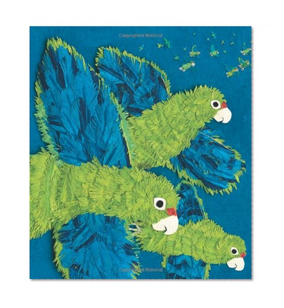 Book Cover Parrots Over Puerto Rico (Americas Award for Children's and Young Adult Literature. Winner)