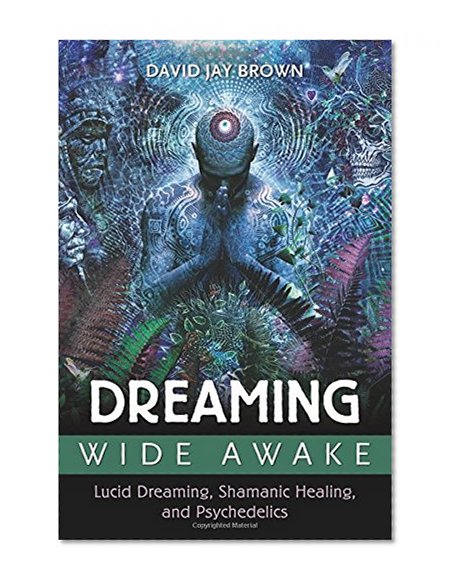 Book Cover Dreaming Wide Awake: Lucid Dreaming, Shamanic Healing, and Psychedelics