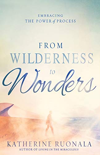 Book Cover From Wilderness to Wonders: Embracing the Power of Process