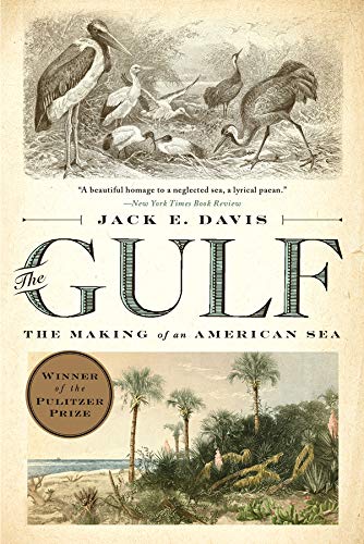 Book Cover The Gulf: The Making of An American Sea
