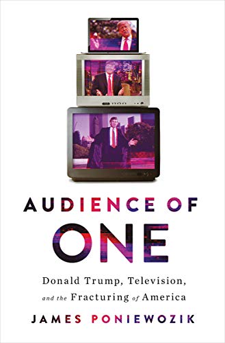 Book Cover Audience of One: Donald Trump, Television, and the Fracturing of America