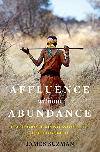 Book Cover Affluence Without Abundance: What We Can Learn from the World's Most Successful Civilisation