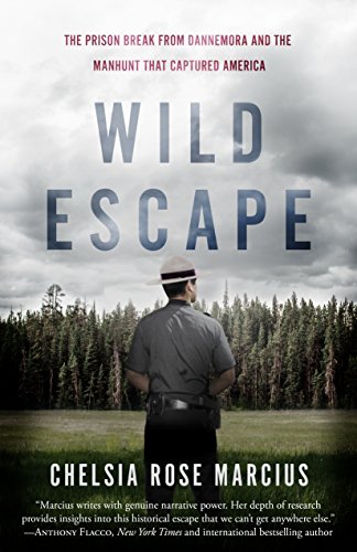 Book Cover Wild Escape: The Prison Break from Dannemora and the Manhunt that Captured America