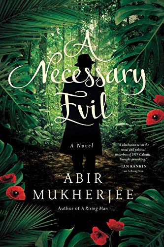 Book Cover A Necessary Evil: A Novel (Wyndham & Banerjee Series)