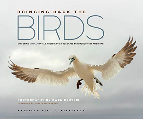 Book Cover Bringing Back the Birds: Exploring Migration and Preserving Birdscapes throughout the Americas