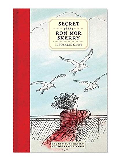 Book Cover Secret of the Ron Mor Skerry