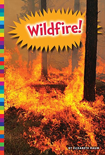 Book Cover Wildfire! (Natural Disasters)