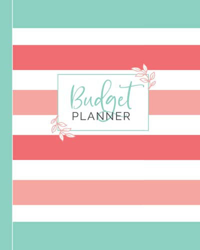 Book Cover Budget Planner: Weekly and Monthly Financial Organizer | Savings - Bills - Debt Tracker | Teal Pink White Stripes (January-December 2020)