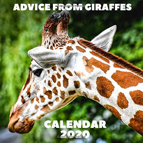 Book Cover Advice From Giraffes Calendar 2020: November 2019 - December 2020 With Giraffe Inspirational Quotes