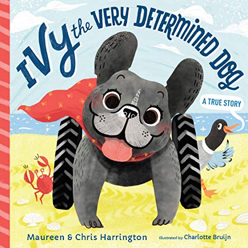 Book Cover Ivy the Very Determined Dog