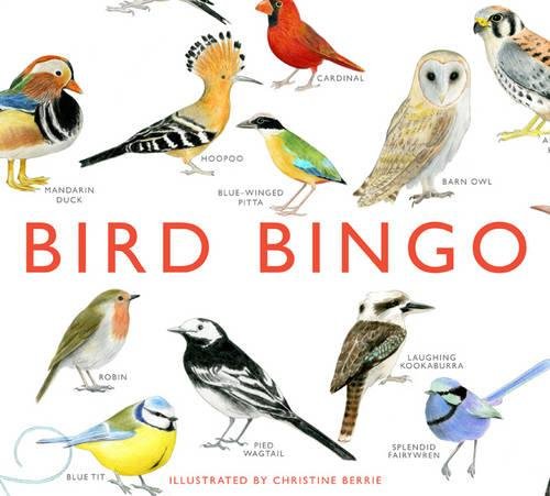 Book Cover Bird Bingo