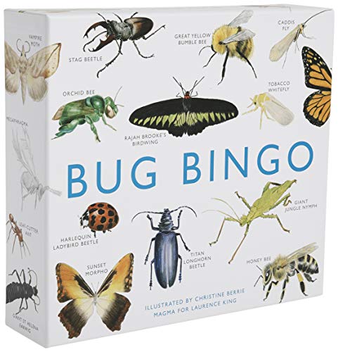 Book Cover Bug Bingo