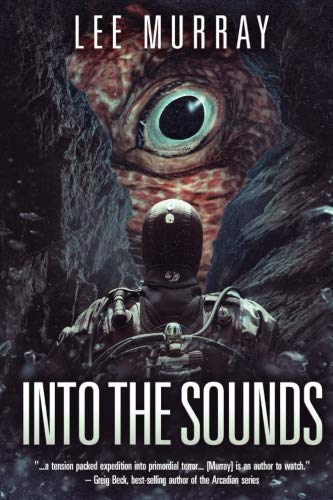 Book Cover Into The Sounds