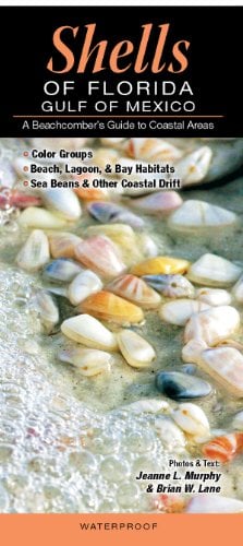Book Cover Shells of Florida-Gulf of Mexico: A Beachcomberâ€™s Guide to Coastal Areas