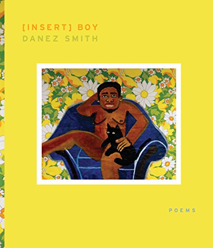 Book Cover [insert] Boy (Kate Tufts Discovery Award)