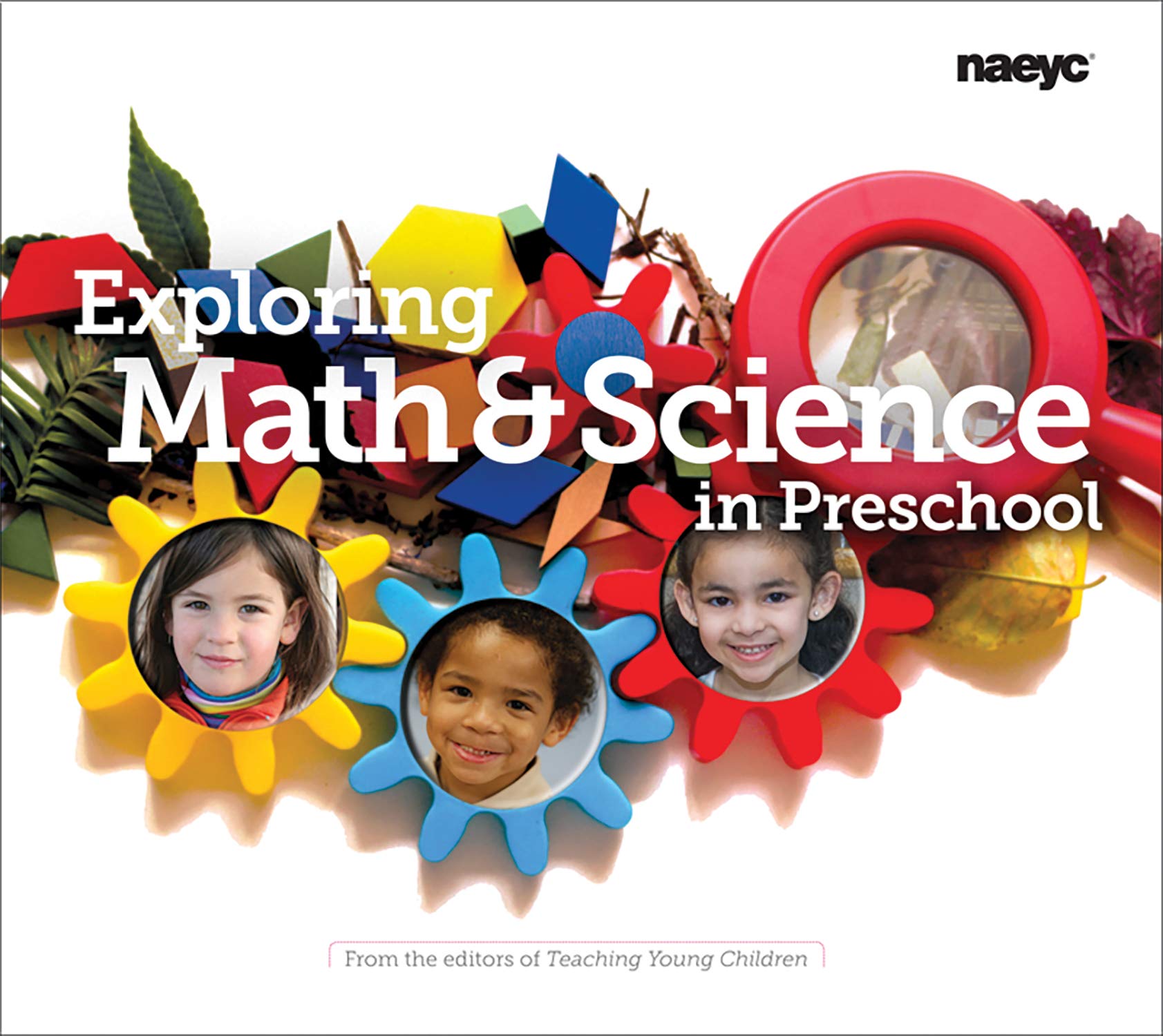Book Cover Exploring Math and Science in Preschool (The Preschool Teacher's Library of Playful Practice Set)