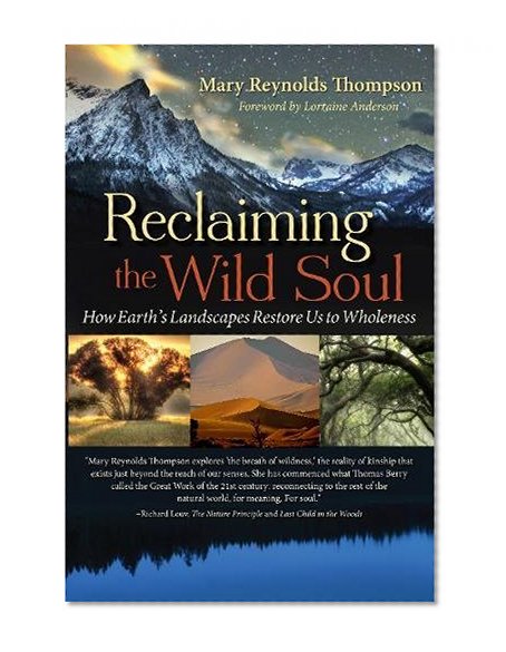Book Cover Reclaiming the Wild Soul: How Earth's Landscapes Restore Us to Wholeness